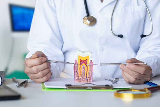 Best Knocked-Out Tooth (Avulsed Tooth) Treatment in Jemez Pueblo, NM